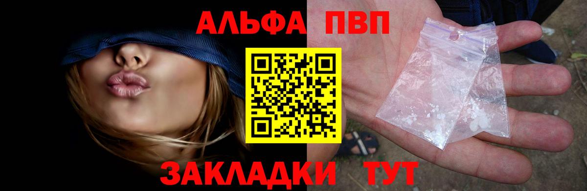 A PVP СК КРИС Энгельс