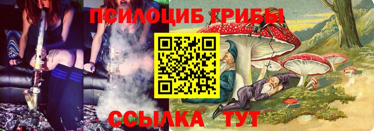 Галлюциногенные грибы мухоморы Энгельс